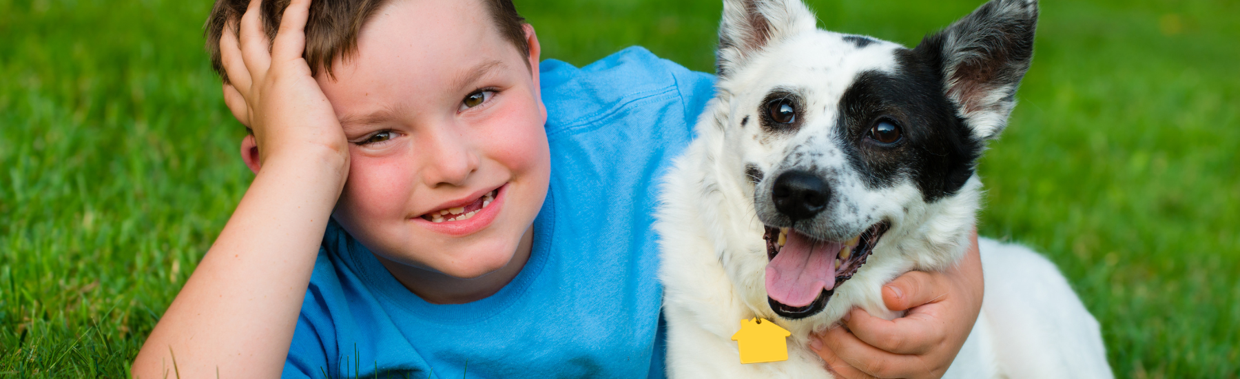 Pet Store Banner